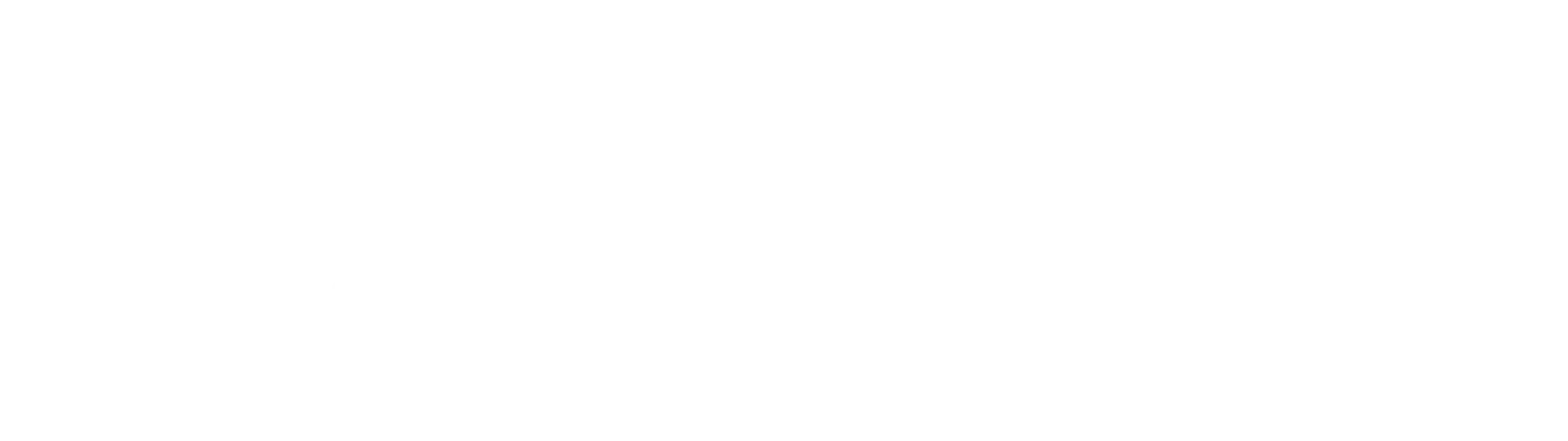 The Archive
